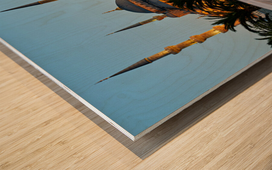 Visit to Blue Mosque and fountain at twilight in Istanbul Wood print