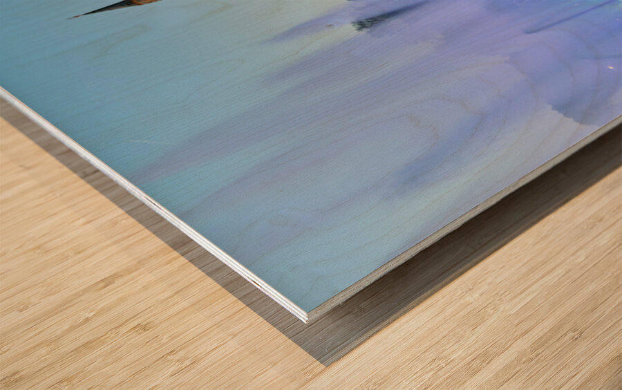 Hagia Sophia Grand Mosque at dusk with fountain display Wood print