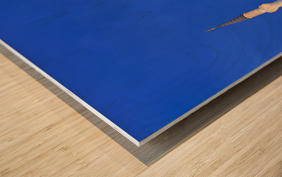 Visit to Blue Mosque in Istanbul at twilight Wood print