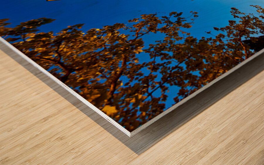 Suleymaniye Mosque at night in Istanbul Turkey Wood print