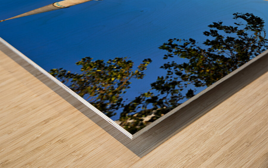 Suleymaniye Mosque in Istanbul under clear blue sky Wood print