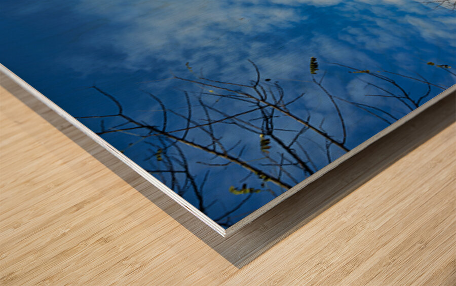 Gable of the fairytale house in park guell barcelona Wood print