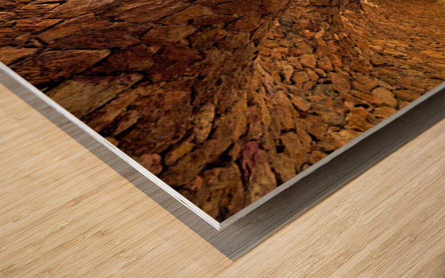 Walking through the colonnaded pathway in Park Guell Barcelona Wood print