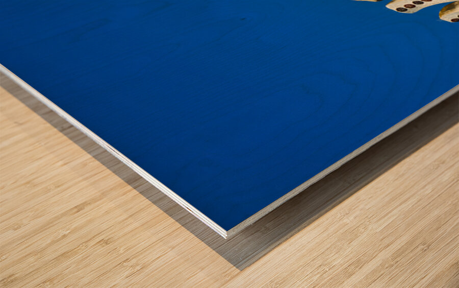 Gable of the fairytale house in park guell barcelona Wood print