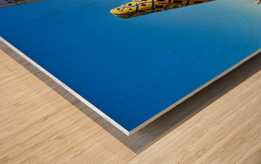 Exploring the rooftop of Palau Guell in Barcelona Spain Wood print