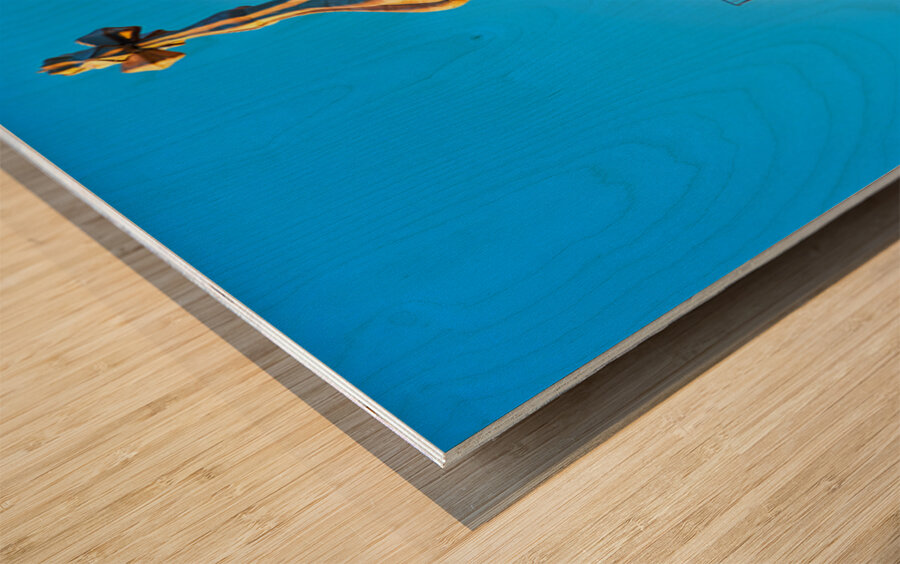 Exploring Casa Batllo in Barcelona Spain during sunset Wood print