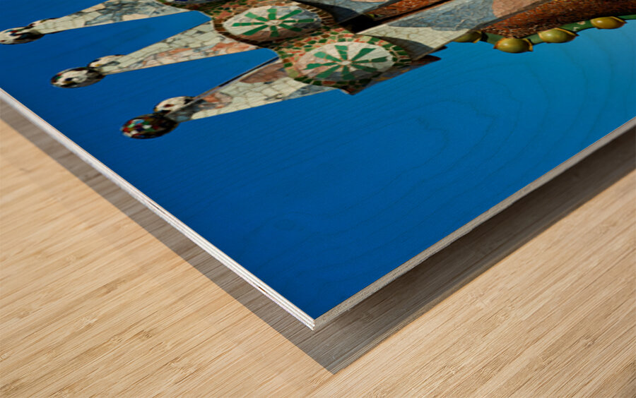 Exploring casa batllo in barcelona catalonia spain Wood print