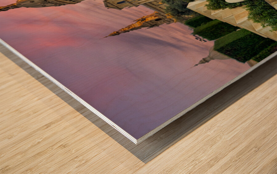 Fountains at Museu Nacional dArt de Catalunya in Barcelona Wood print