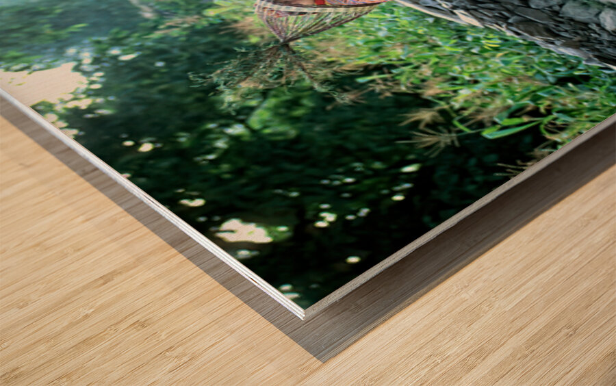 Women working in Bumburet Valley Kalash village Wood print