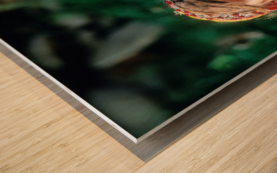 Children of Pakistan wear traditional clothing in the sunlight Wood print