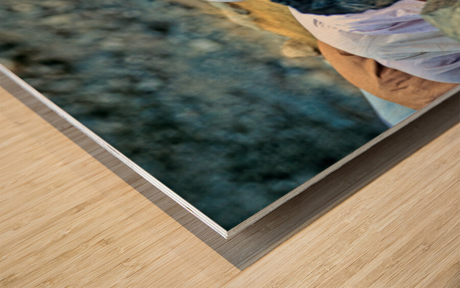 Muslim men pray towards Mecca in Pakistan during prayer time Wood print