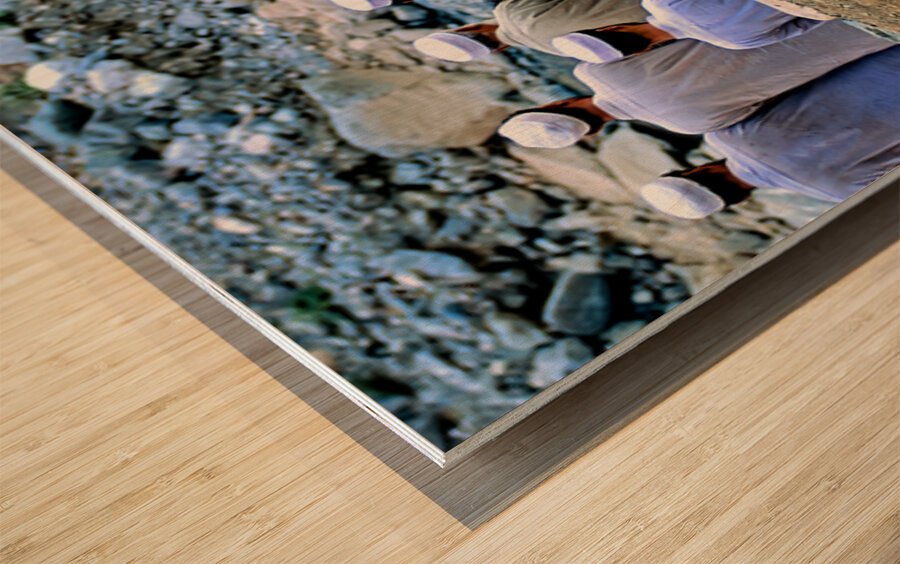Muslim men pray outdoors in Pakistan facing Mecca Wood print