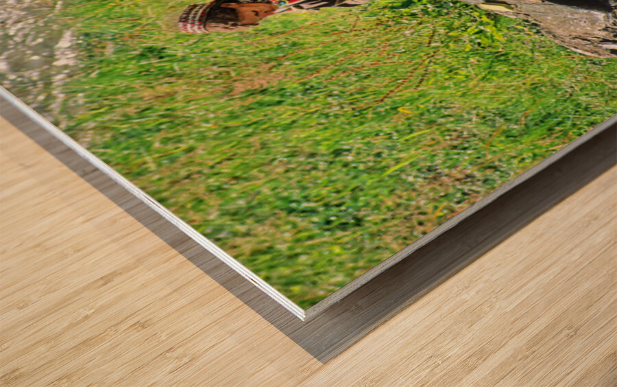 Life in Kalash Village in Bumburet Valley with river scene Impression sur bois