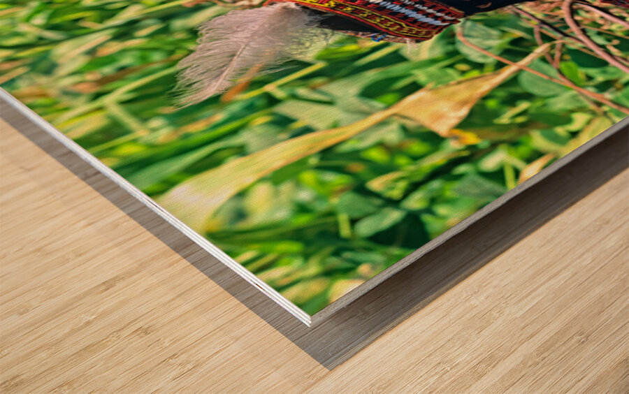 Life in kalash village of bumburet valley in pakistan Wood print