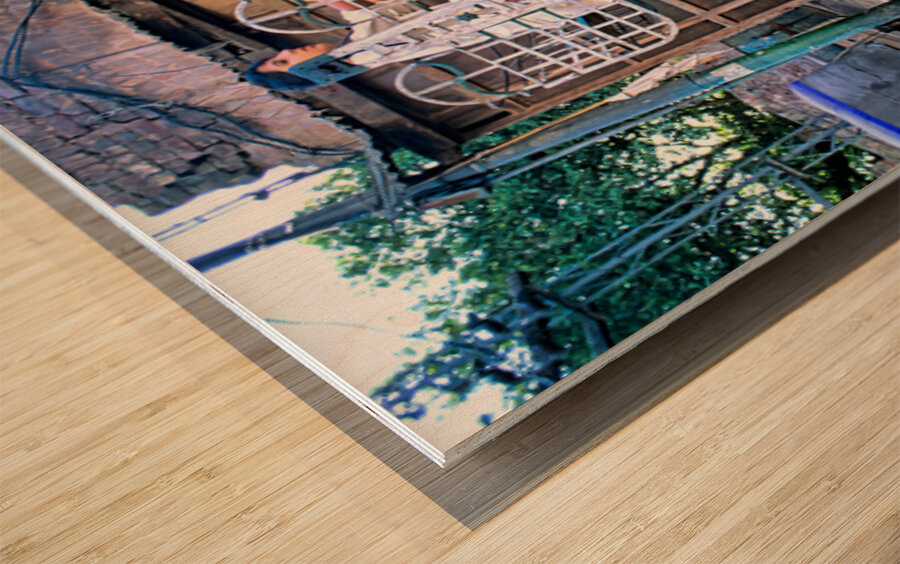 Children enjoy playtime on a swing in Lahore Wood print