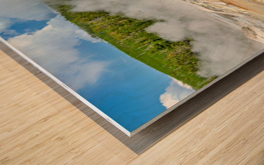 Grotto Geyser erupts in Yellowstone National Park Wood print