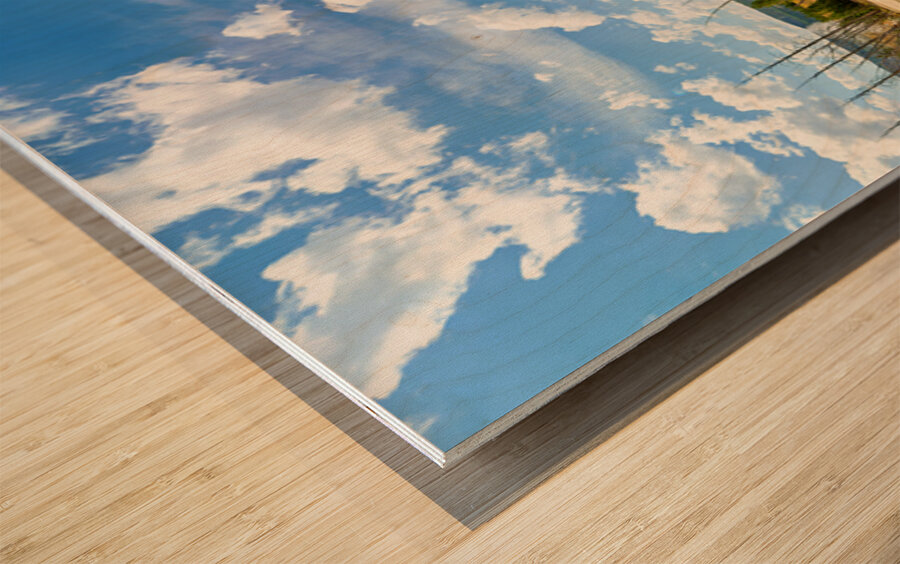 Morning Glory Pool shows colors at Yellowstone National Park Wood print