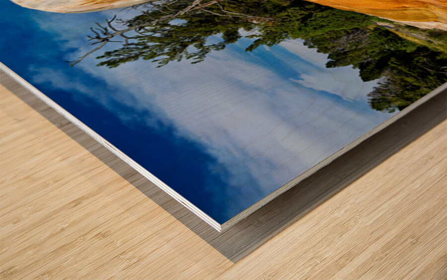 Yellowstone national park orange spring mound in usa Wood print