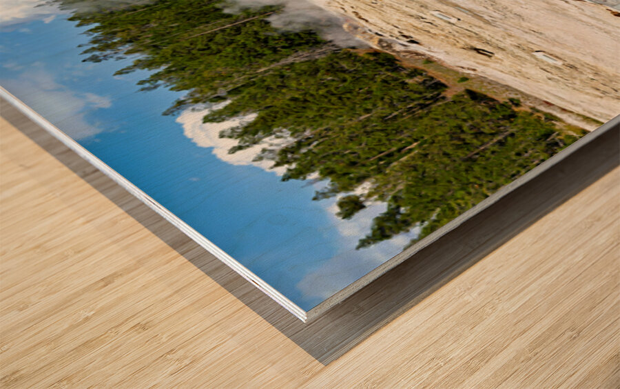 Giant Geyser erupts in Yellowstone National Park during daytime Wood print