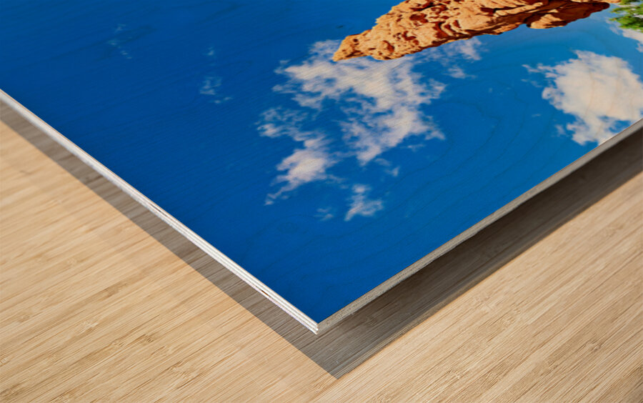 Visit to Dixie National Forest during a sunny afternoon Wood print