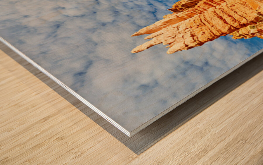 Views of queens garden in bryce canyon national park Wood print