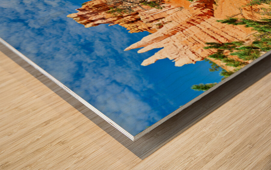 Exploring queens garden at bryce canyon national park Impression sur bois