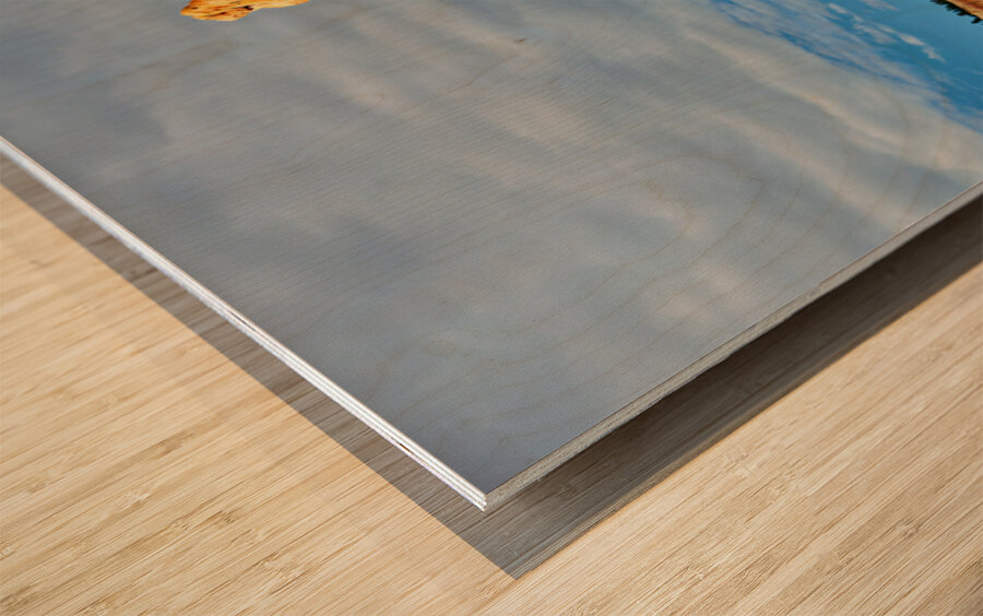 Visiting queens garden in bryce canyon national park Impression sur bois