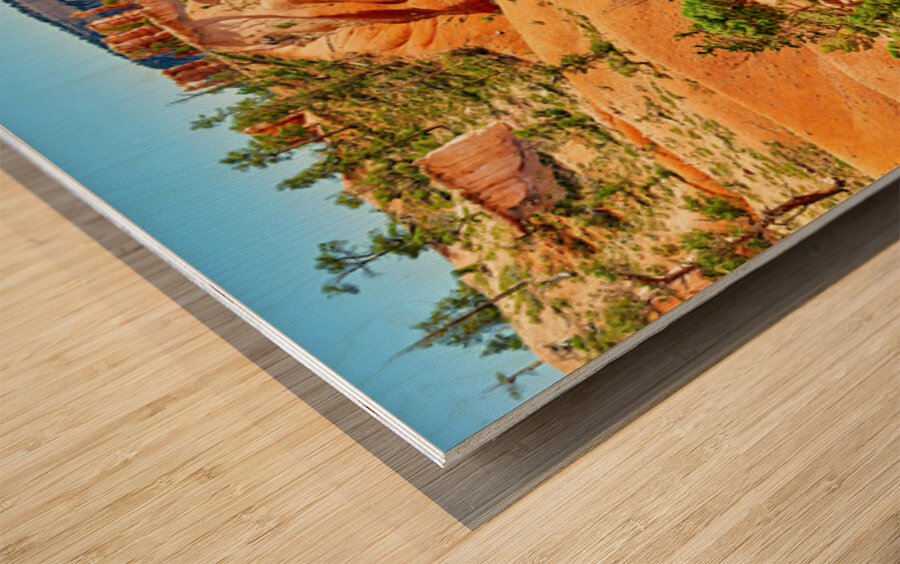 Horseback trip in Queens Garden at Bryce Canyon National Park Wood print