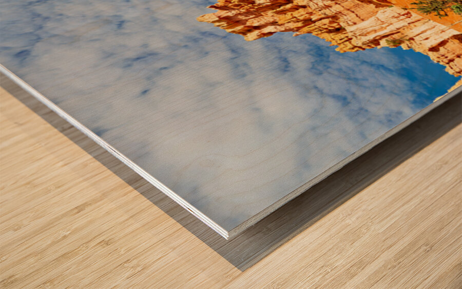 Explore queens garden in bryce canyon national park Wood print