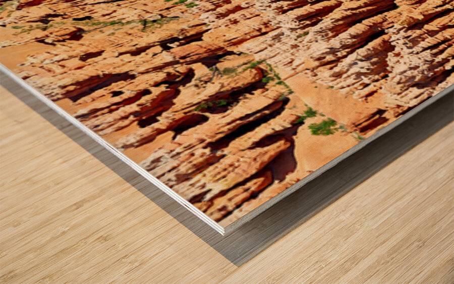 Views of bryce canyon from bryce point in national park usa Wood print