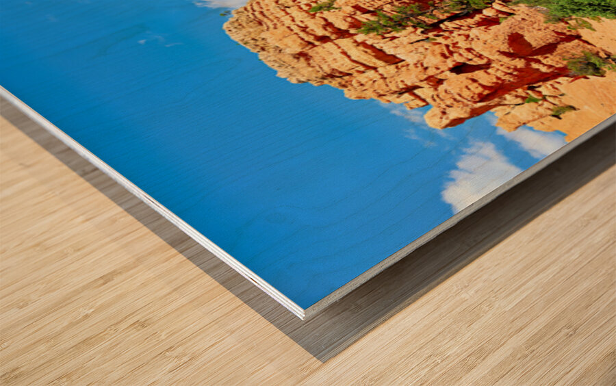 Scenes from Dixie National Forest in Utah during daytime Wood print