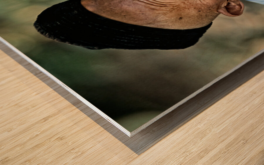 Elderly man with a beard in Bukhara Uzbekistan Wood print