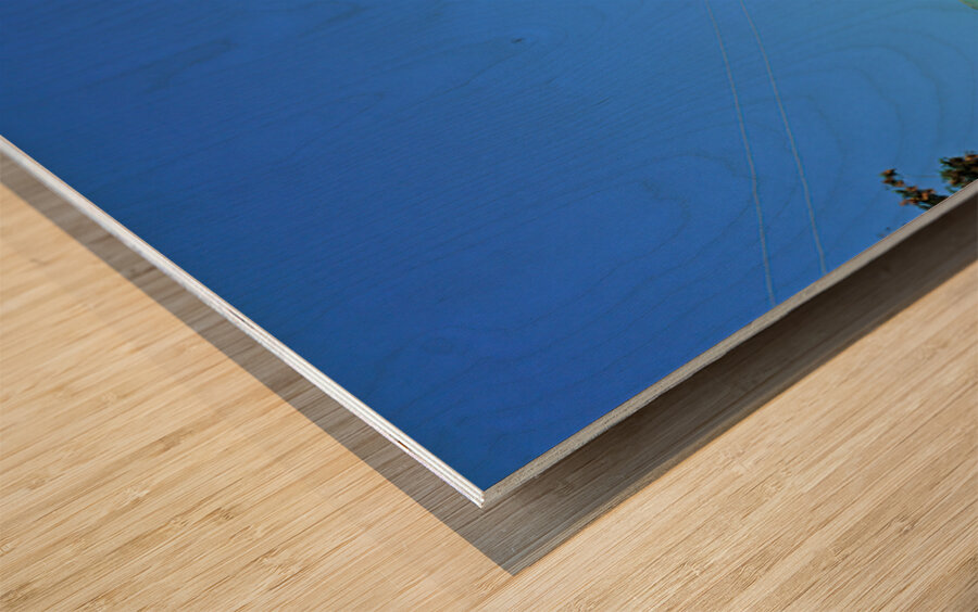 Khiva towers and domes show vibrant architecture in Uzbekistan Wood print