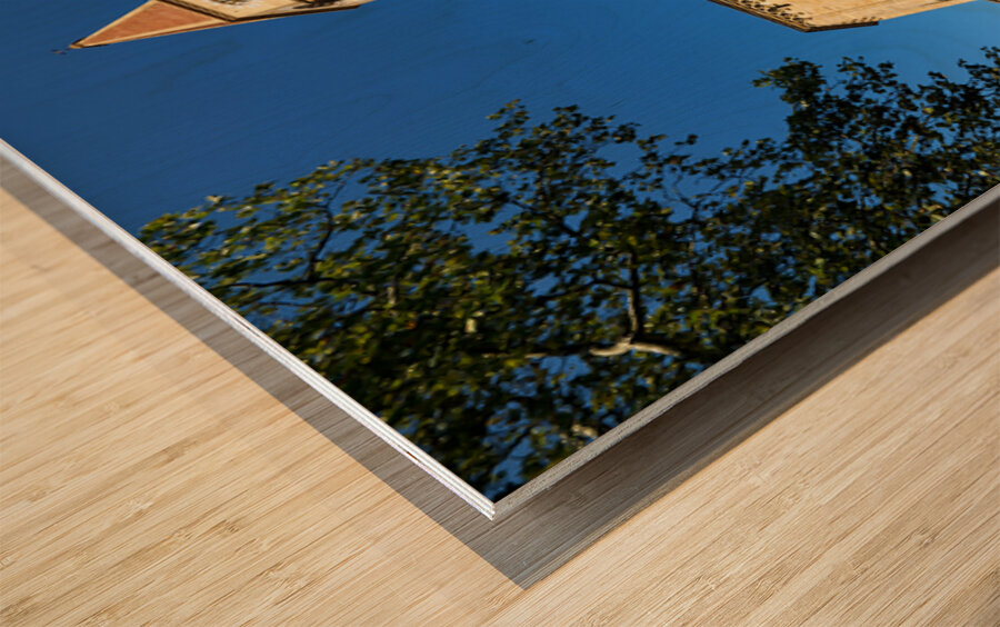 Cattedrale dei Santi Pietro e Donato in Arezzo Tuscany Italy Wood print