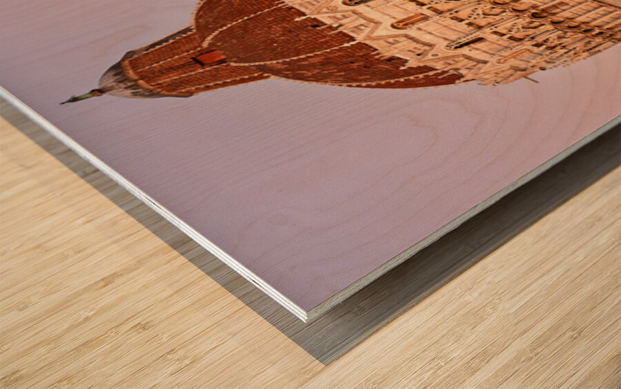 Pisa Tuscany landmarks at sunset in Square of Miracles Wood print