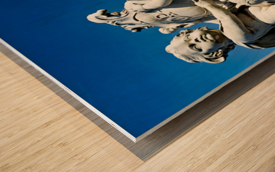 Leaning Tower and fountain in Piazza dei Miracoli in Pisa Wood print