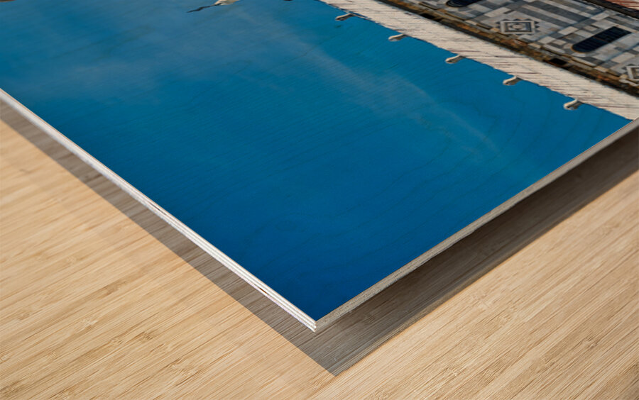 PISA 00009 Wood print