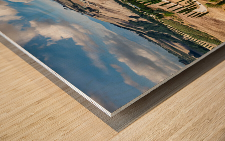 Cypress trees line winding road in Val dOrcia Tuscany Wood print