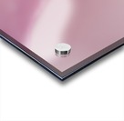 Subtle and Soft Pinks Acrylic print