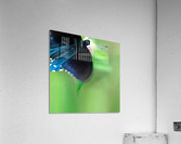 Fly By Acrylic Print