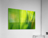 Macro Grass Acrylic Print