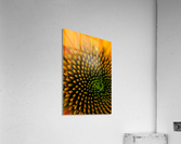 Circular Lines Acrylic Print