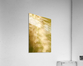 Brilliant Light Acrylic Print