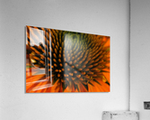 Patterns in Nature Acrylic Print