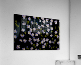 millefiori Acrylic Print