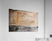 Tree Bark Acrylic Print