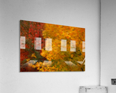Wind Acrylic Print