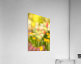 Nod to Monet Acrylic Print