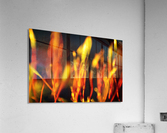Fire Acrylic Print