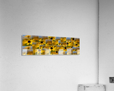 Sky Collage Acrylic Print